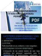 OK Catéres IV Y Vías Endovenosos Periféricos