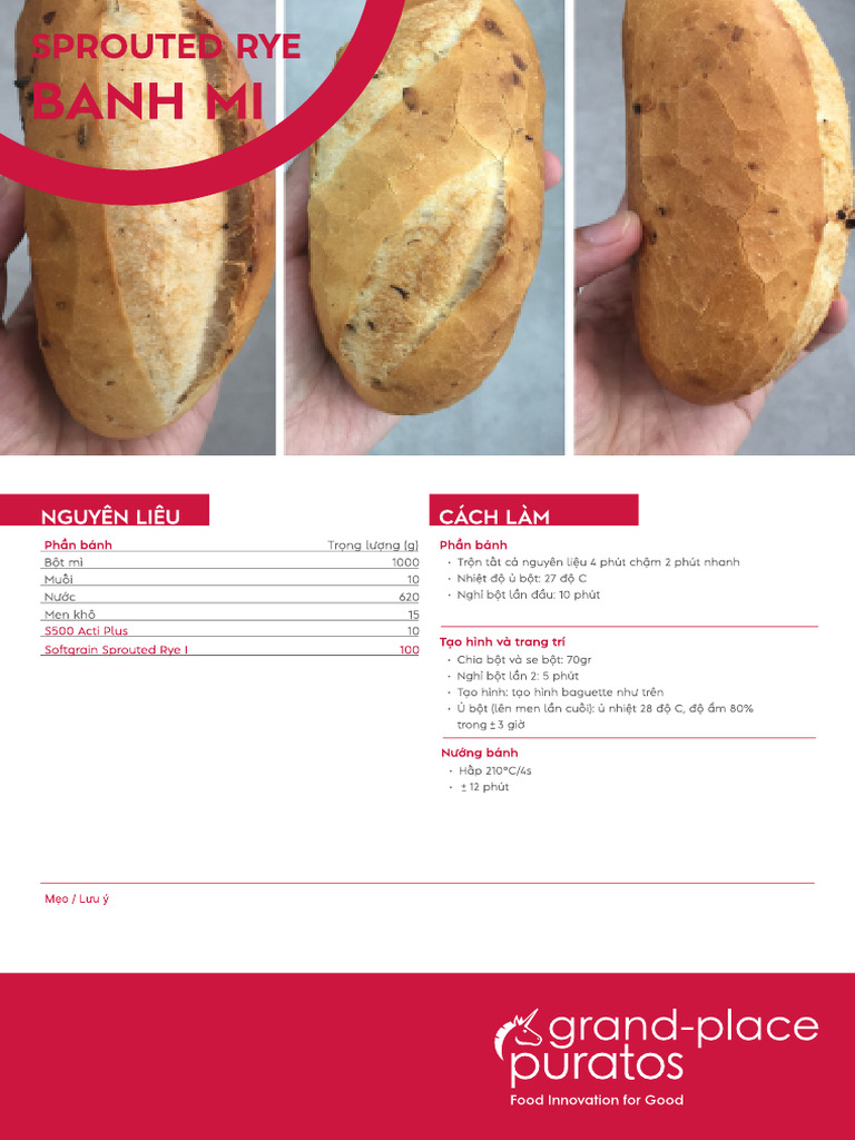 Sprouted Rye Banh Mi | PDF