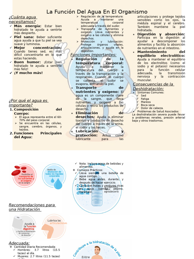 Importancia del Agua en el Cuerpo | PDF | Agua | Digestión