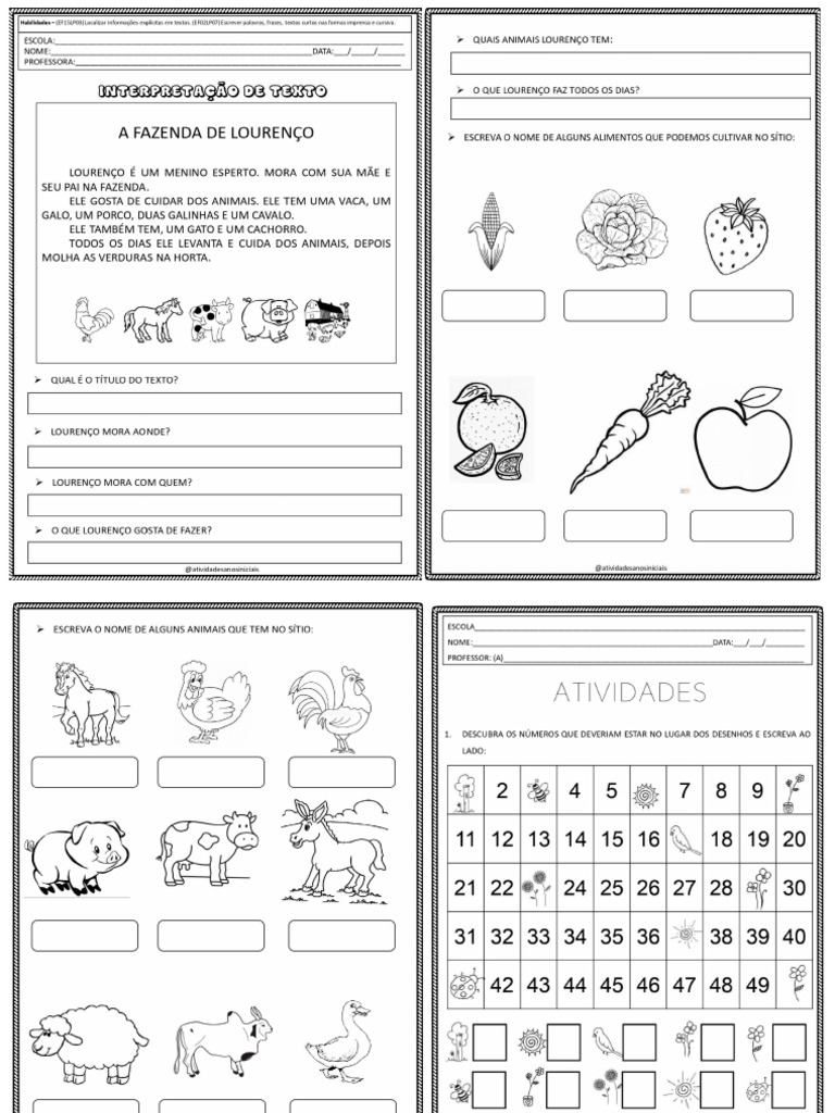 Aula 2 Ano | PDF