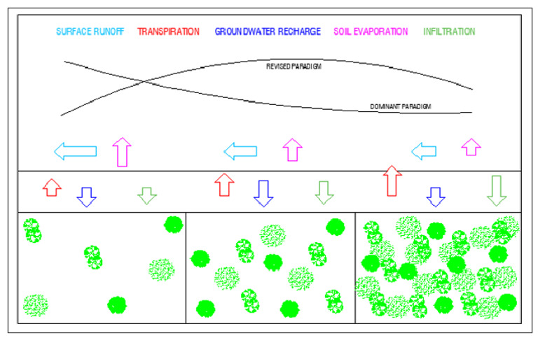 Theoretical Framework | PDF