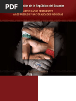 Pueblos y Nacionalidades Indigenas[1]