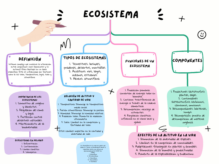 Mapa Conceptual de Ecosistemas | PDF | Ecosistema | Suelo