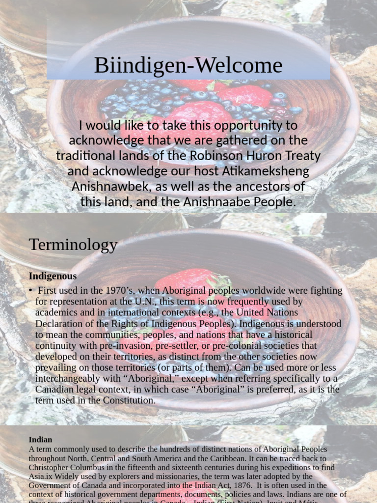 Indigenous Terminology and Teachings Guide | PDF | Métis | Inuit