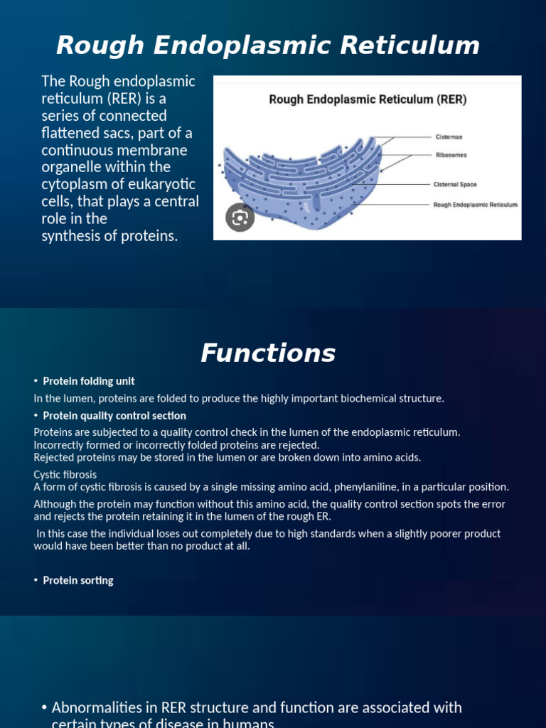 Rough Endoplasmic Reticulum | PDF