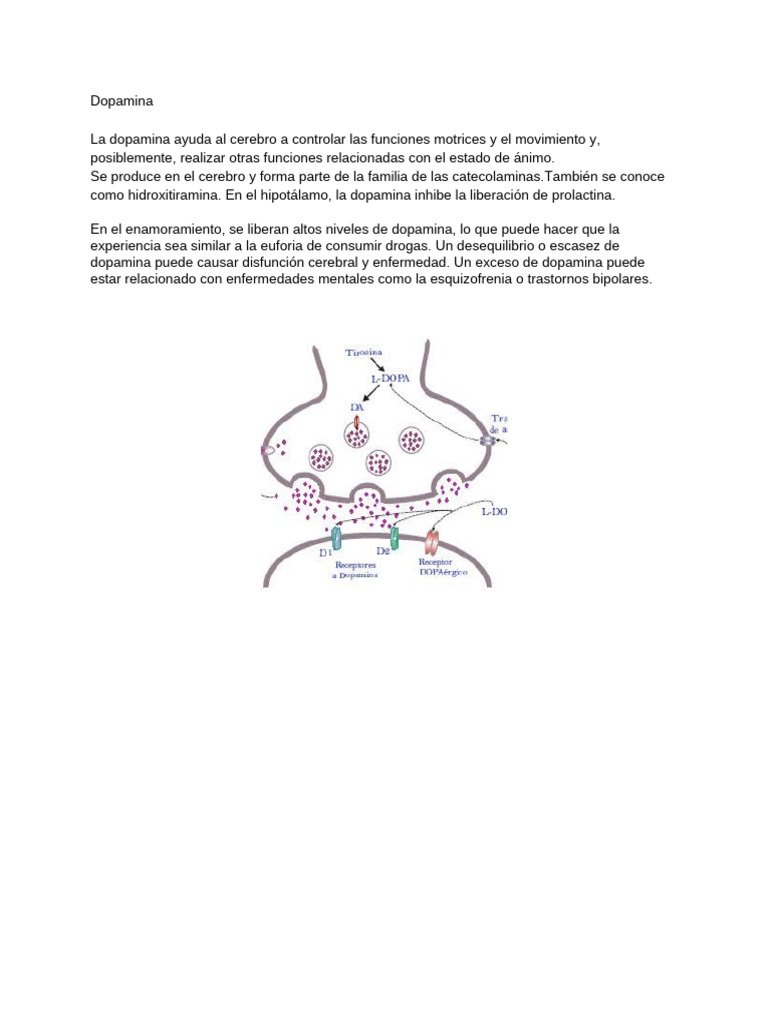 Dopamina: Funciones y Efectos | PDF