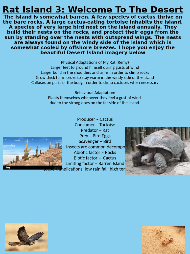 Rat Island 3 Authentic Assessment Pdf