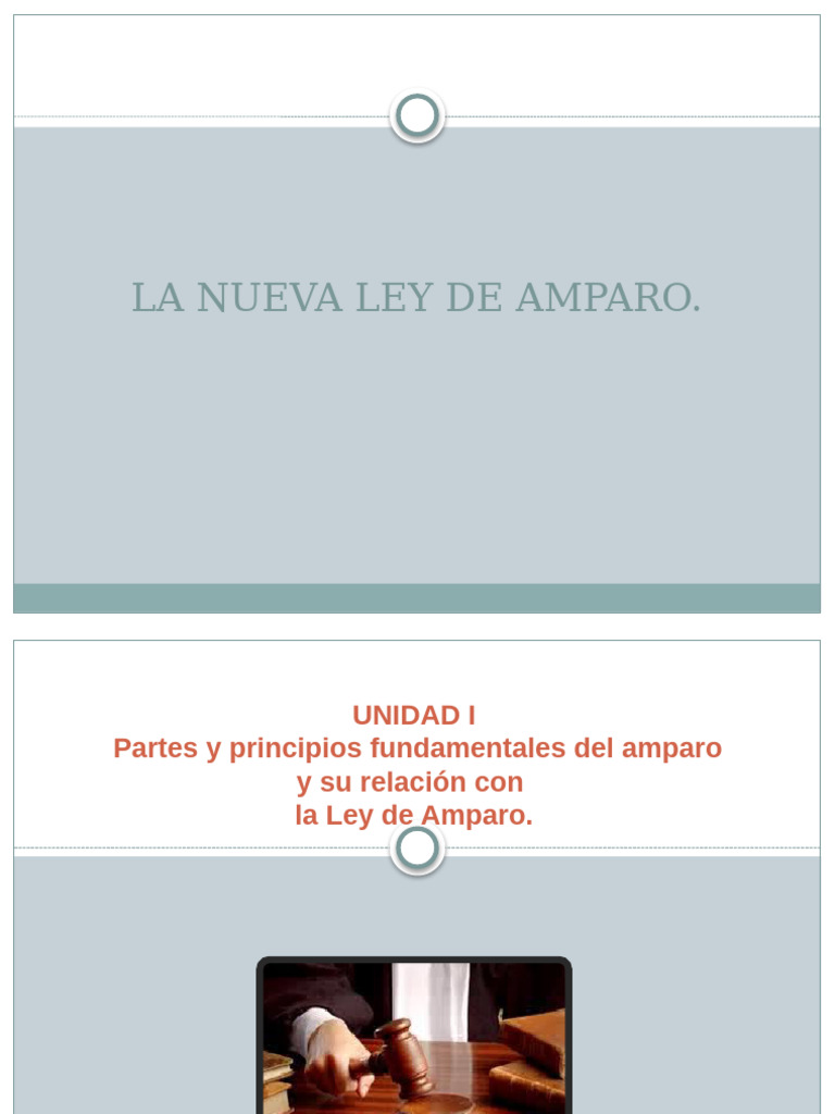 Consejo de Juristas Amparo I | PDF | Caso de ley | Derecho Constitucional