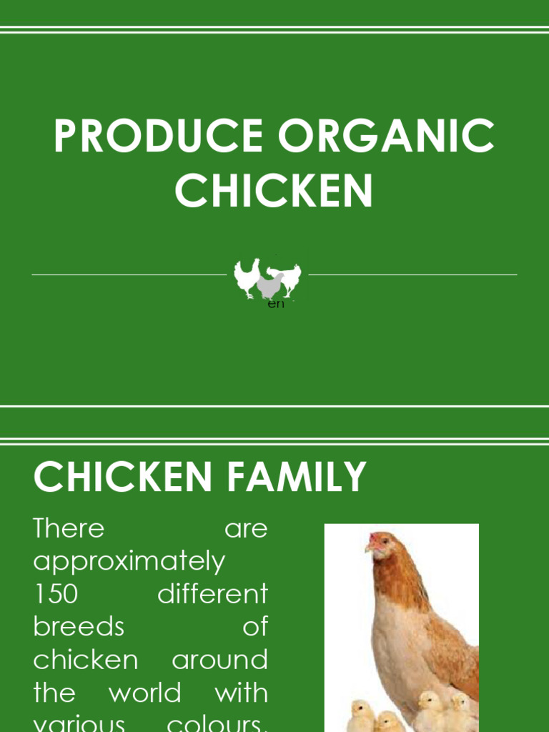 Organic Chicken Farming Guide | PDF | Inbreeding