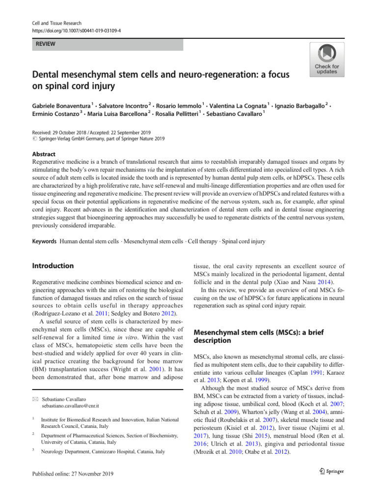 Dental Stem Cells in Neuro-Regeneration | PDF | Mesenchymal Stem Cell ...
