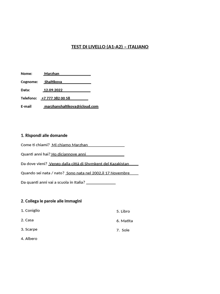 test - A1 - A2 (копия) | PDF