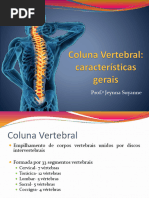 Anatomia da Coluna Vertebral e Ligamentos | PDF | Vértebra | Coluna ...
