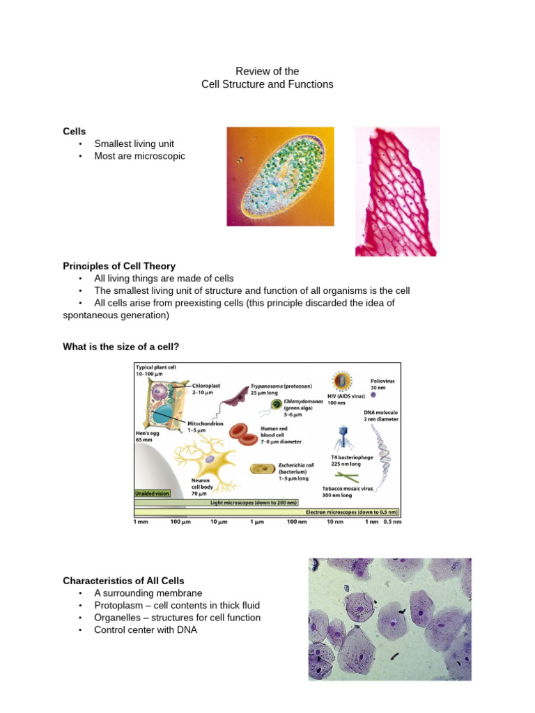 BIO CHEM - Cell Parts and Functions | PDF | Cell (Biology) | Cell Membrane