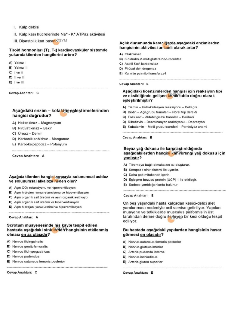 Tus 3 | PDF