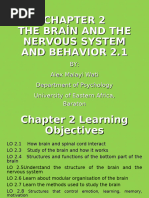 Brain Structure and Function Overview | PDF | Computers