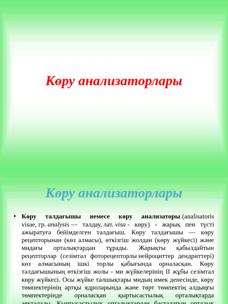Рокконың ең жақсы порносы