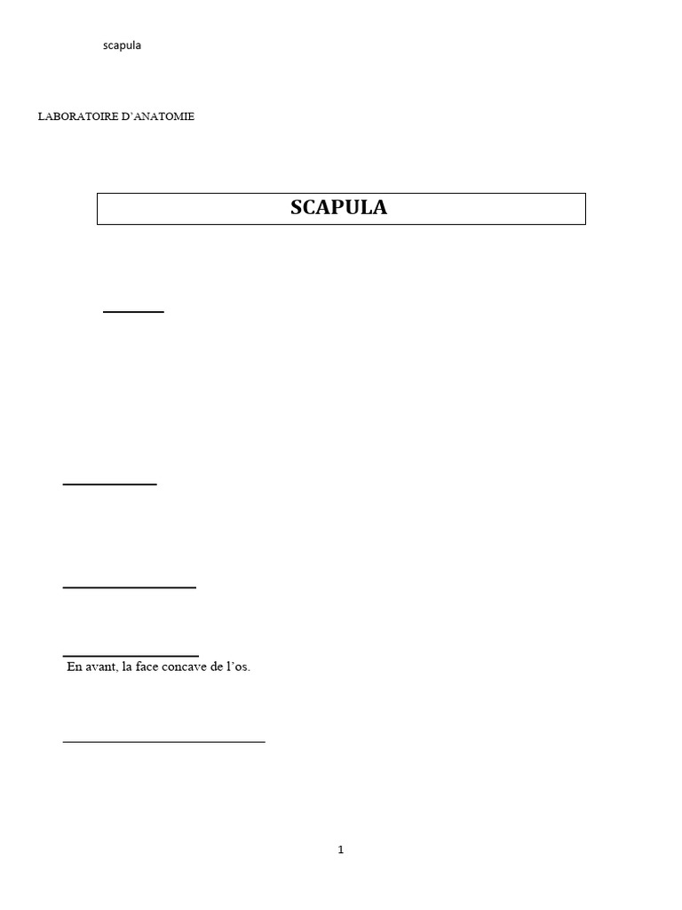 Anatomie de la Scapula: Description et Fonctions | PDF | Appareil ...