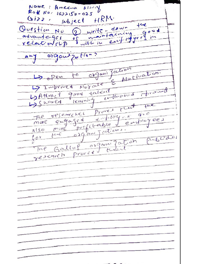 ameena HRM PDF