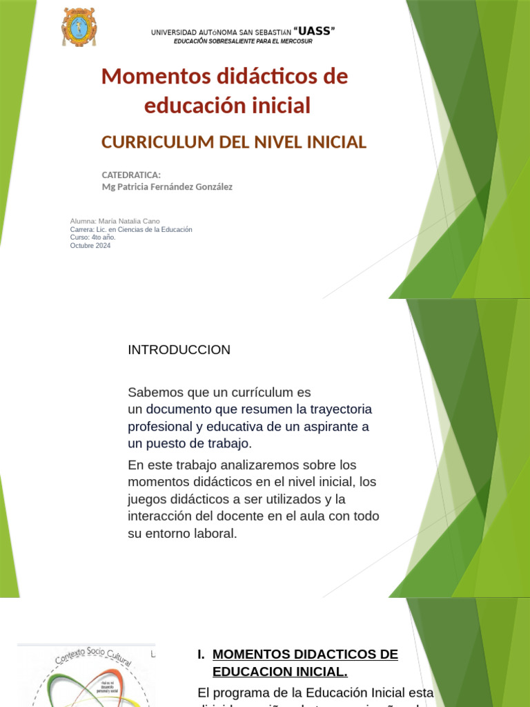 Curriculun Del Nivel Inicial | PDF | Educación de la primera infancia ...