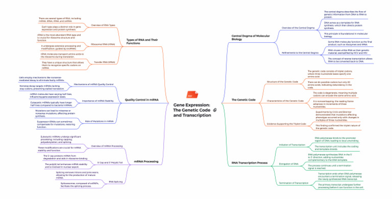 Genetic Code and RNA Transcription | PDF | Messenger Rna | Rna