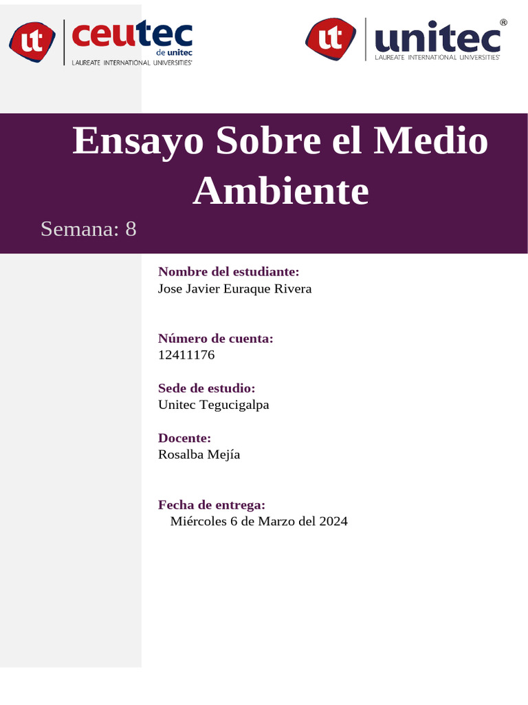 Ensayo sobre el medio ambiente pdf entorno natural sustentabilidad