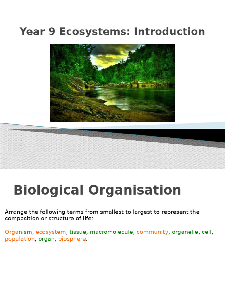 Year 9 Ecosystems Introduction | PDF | Ecosystem | Ecology