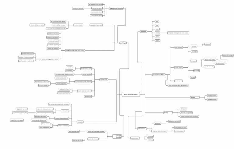Mapa Araña | PDF