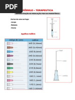 Guia Completo de Administração de Injetáveis | PDF | Pele | Veia