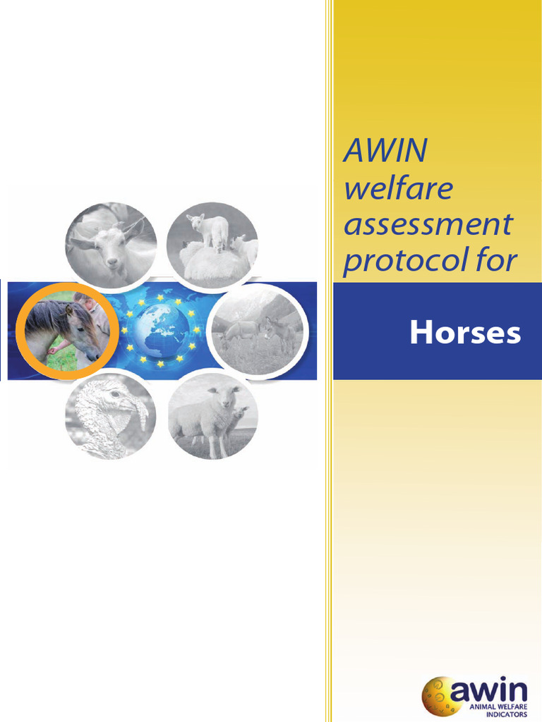 AWIN Protocol Horses | PDF | Animal Welfare | Vertebral Column