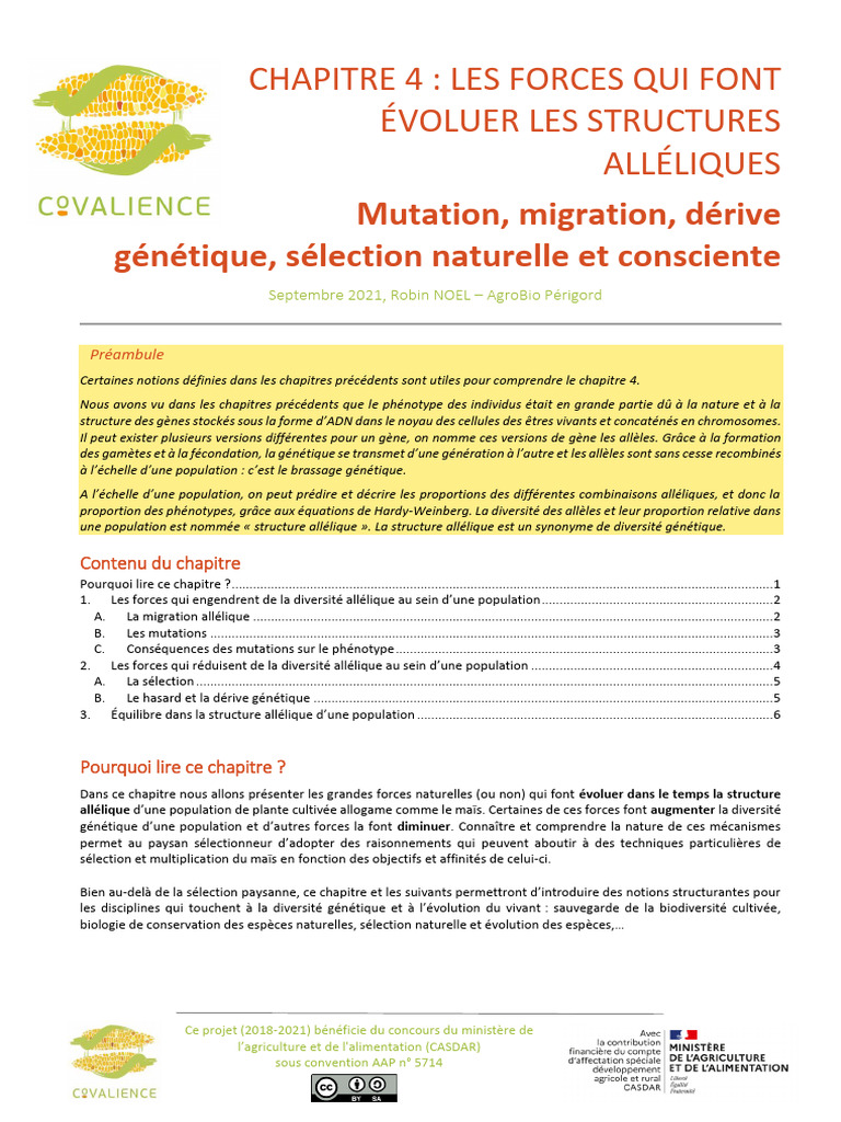 Forces évolutives des structures alléliques | PDF | Mutation | Génotype