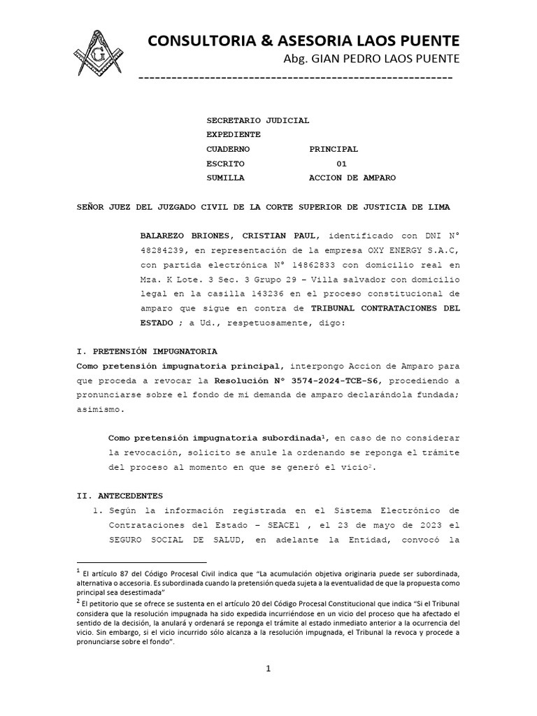 Acción de Amparo contra Resolución TCE | PDF | Habeas corpus | Justicia