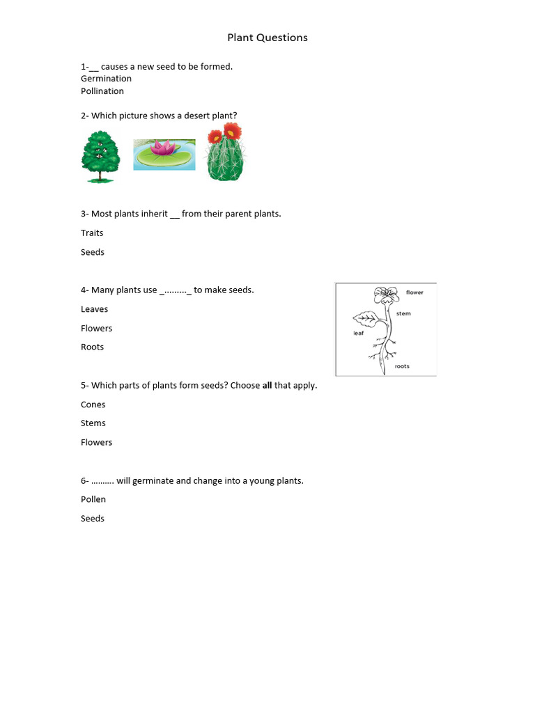 Essential Plant Biology Questions | PDF | Seed | Flowers