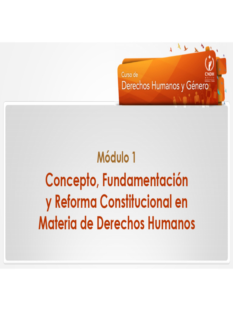 CBDH CDHG PPT Mod | PDF | Derechos humanos | Constitución