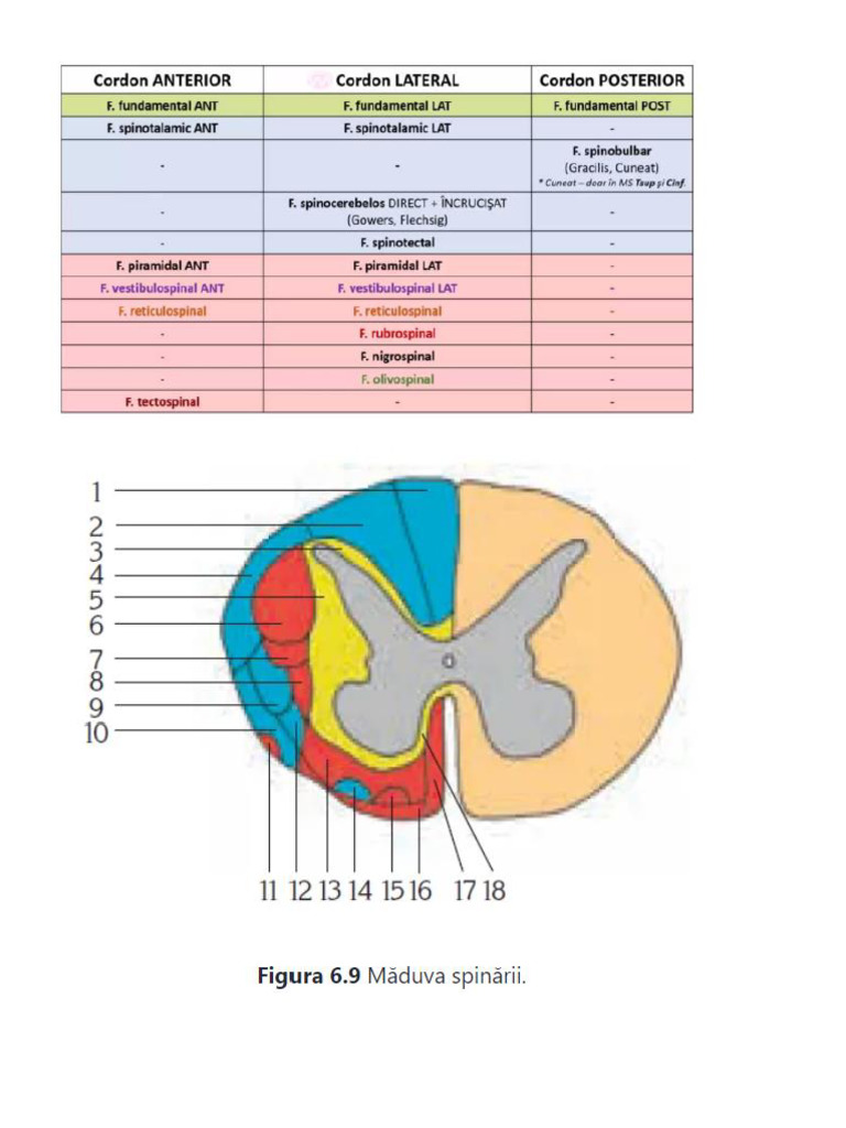 Maduva | PDF
