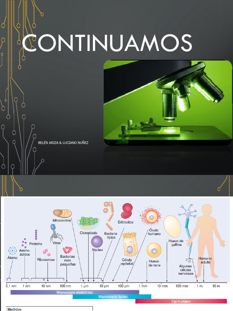 Microscopia y Coloraciones | PDF | Tinción | Microscopía