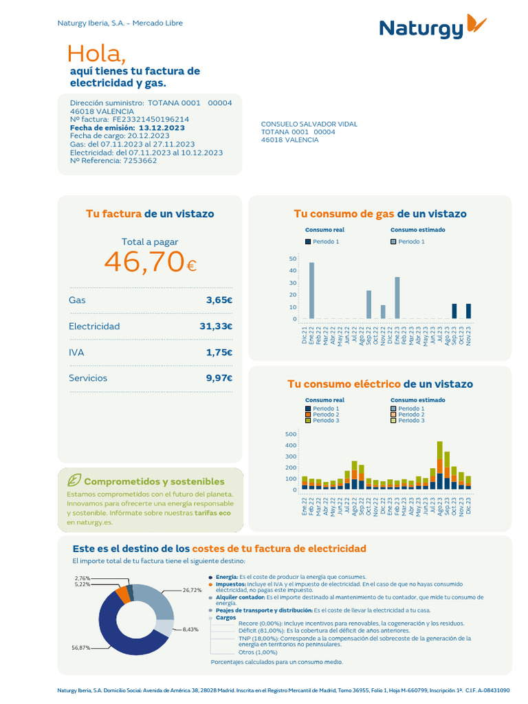 Factura de electricidad y gas Naturgy | PDF | Naturaleza | Electricidad
