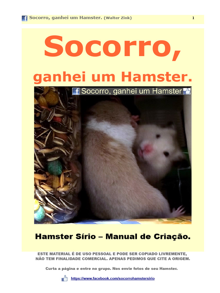 Guia de Cuidados Com Hamsters | PDF | Juvenil, image size:768x1024