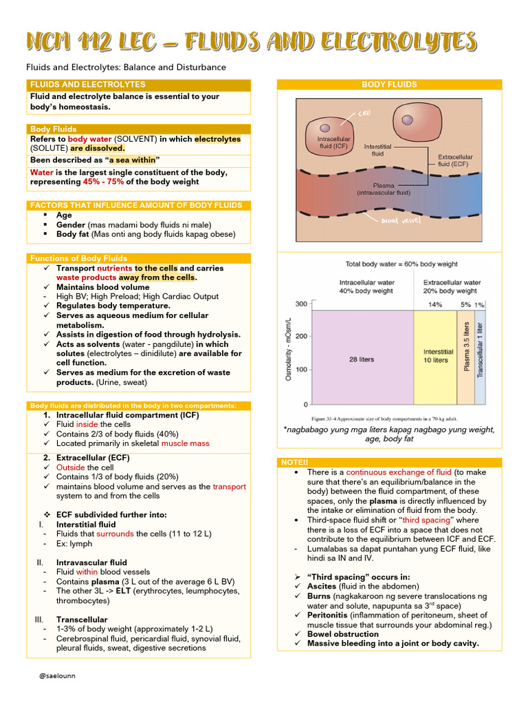 Body Fluids and Electrolyte Balance | PDF | Electrolyte | Physiology