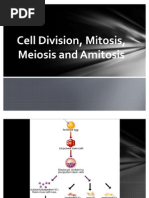 Contoh Explanation Text Beserta Generic Structure Dan 