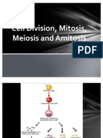 Cell Division, Mitosis, Meiosis, Amitosis