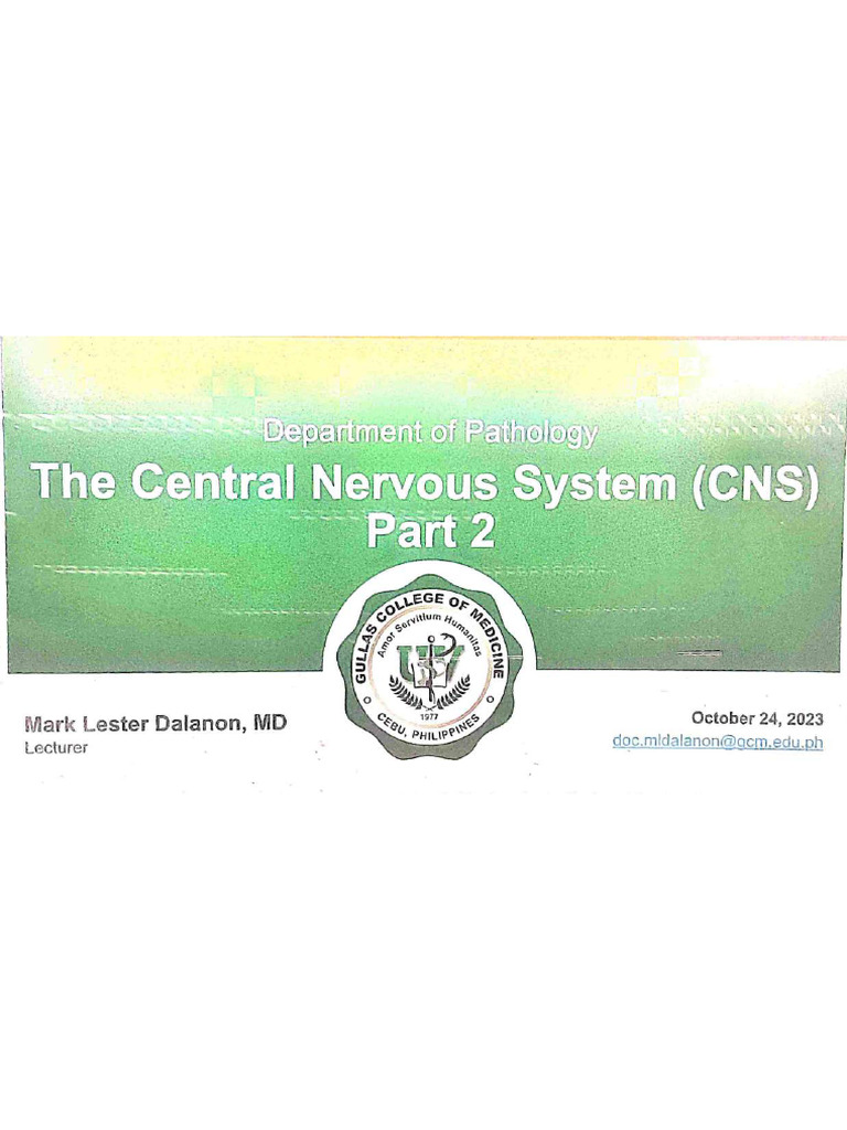 CNS Part 2 | PDF