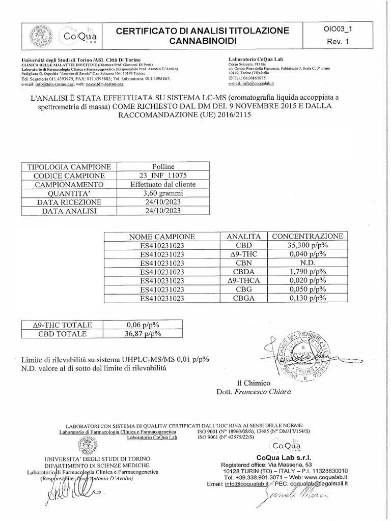 Burbuka hashish pdf