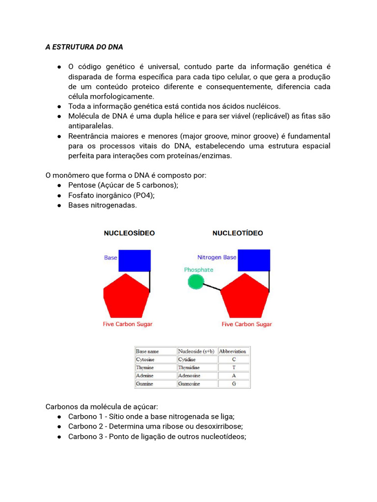 Genética Prova 1 Pdf Promotor Genética Rna