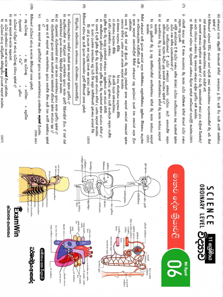 Grade 11 Lesson 6 - Cover | PDF