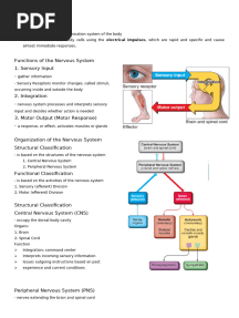 The Nervous System Notes Part 1