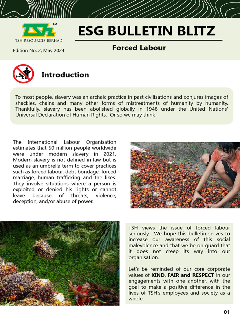 Understanding Forced Labour Issues | PDF | Labour Economics | Employment