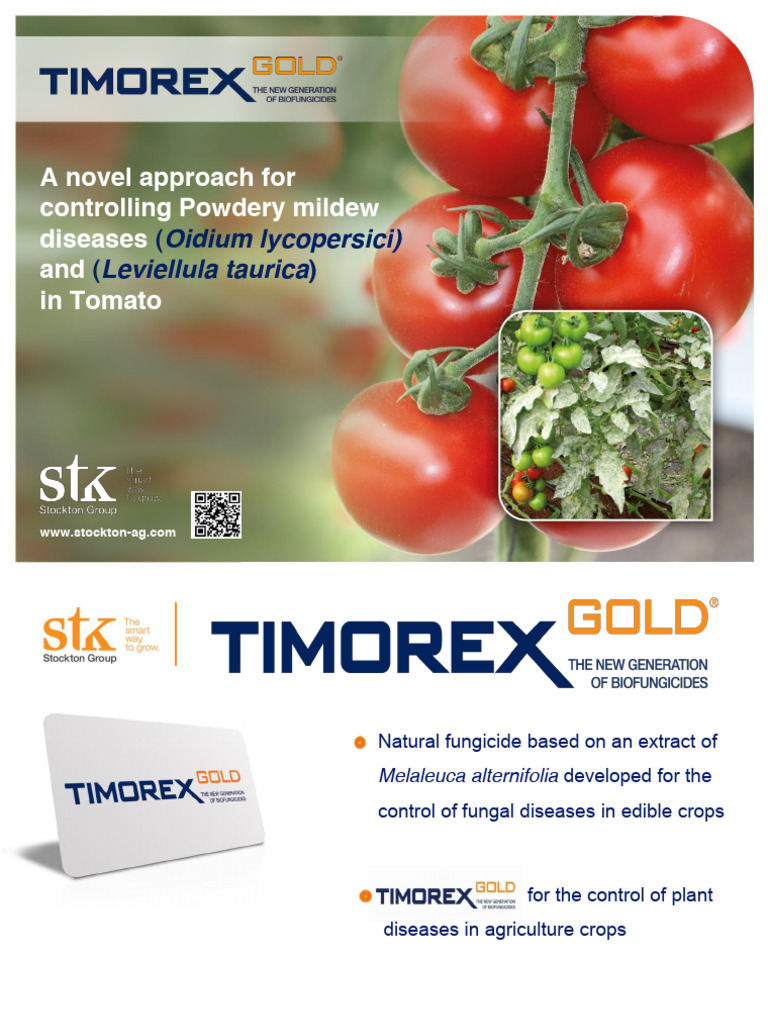 Bio Fungicide for Tomato Powdery Mildew | PDF | Fungus | Plants