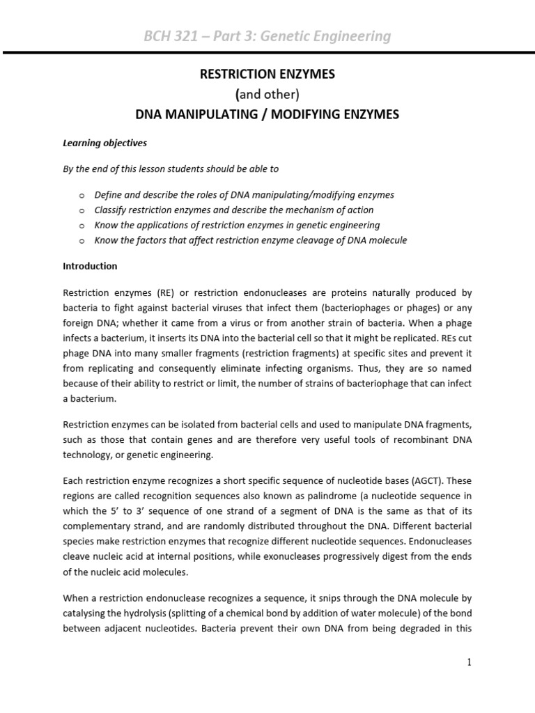 DNA Modifying Enzymes Overview | PDF | Restriction Enzyme | Dna