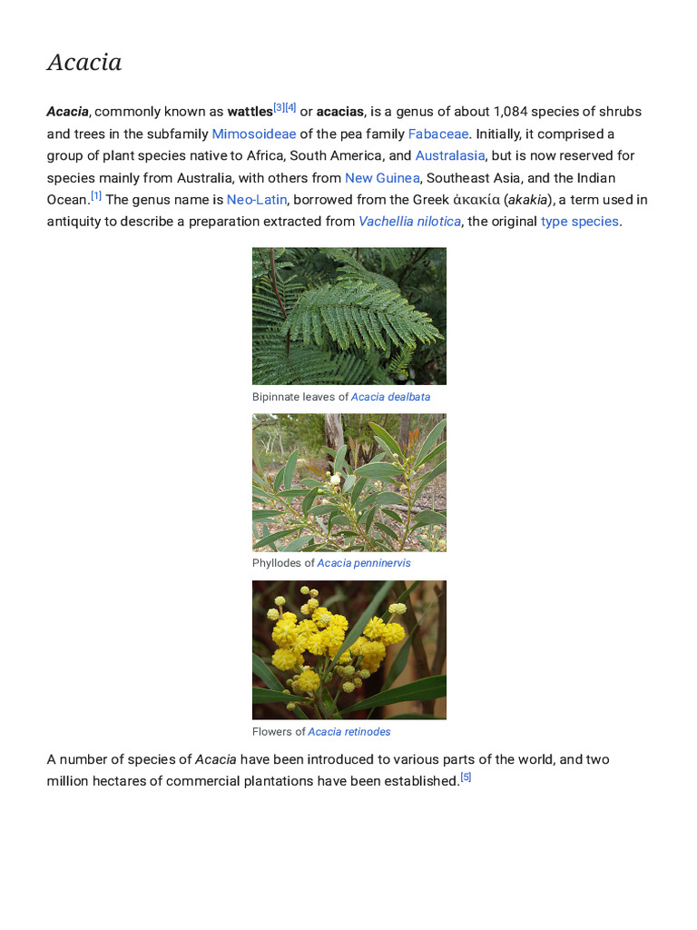 Acacia Wikipedia Pdf Plants Botany