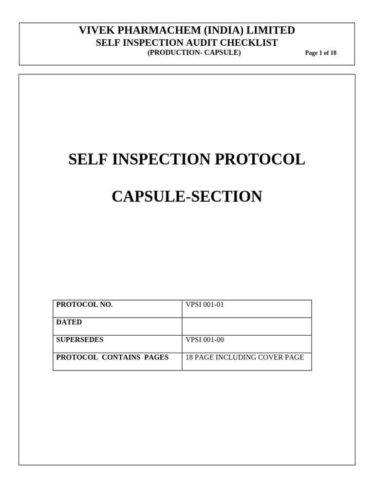 Capsule | PDF | Audit